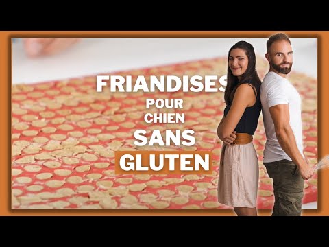 Vidéo: Les chiens peuvent être nourris au gluten de maïs?