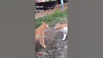 good design vs lazy dev#coding #programming #javascript #python