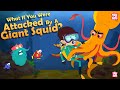 Giant Squid Survival Quiz