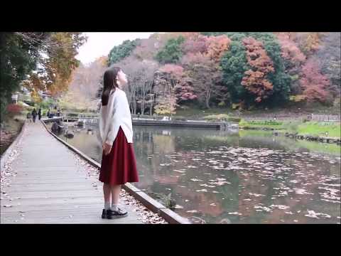 【田崎礼奈】45秒 踊ってみた / notall