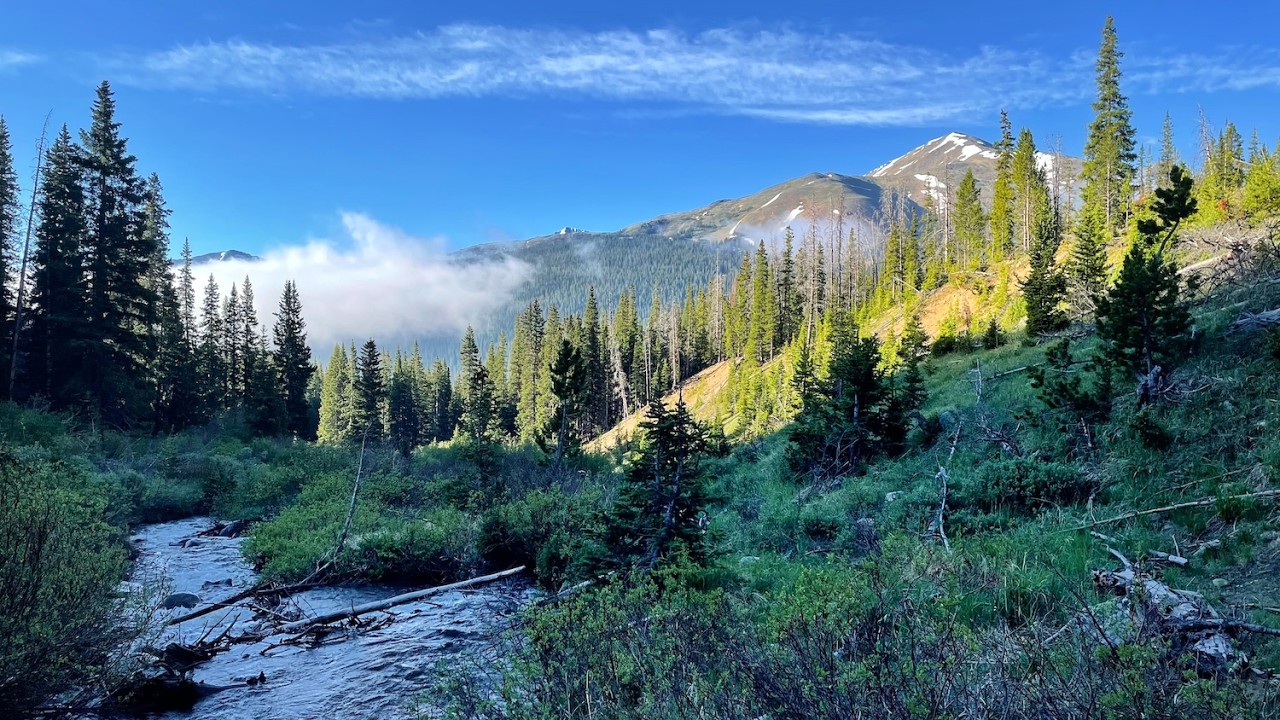 Exploring And Dry Fly Fishing For Native Colorado Trout