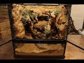 'Cave In The Desert' Dry Vivarium | '사막의 동굴' 건계 비바리움 | 45*45*45