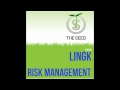 Lingk  risk management original mix