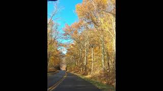Driving in North Carolina | Blue Ridge Parkway | Fall 2021 | GoPro | 4K