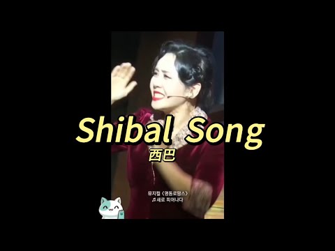 Shibal Song (Tiktok)