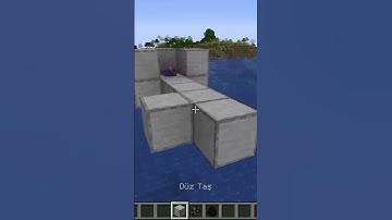 1000 Endermen vs 1 Anvil – The Ultimate Minecraft Gravity Test! #shorts   #minecraft #mincraftshor