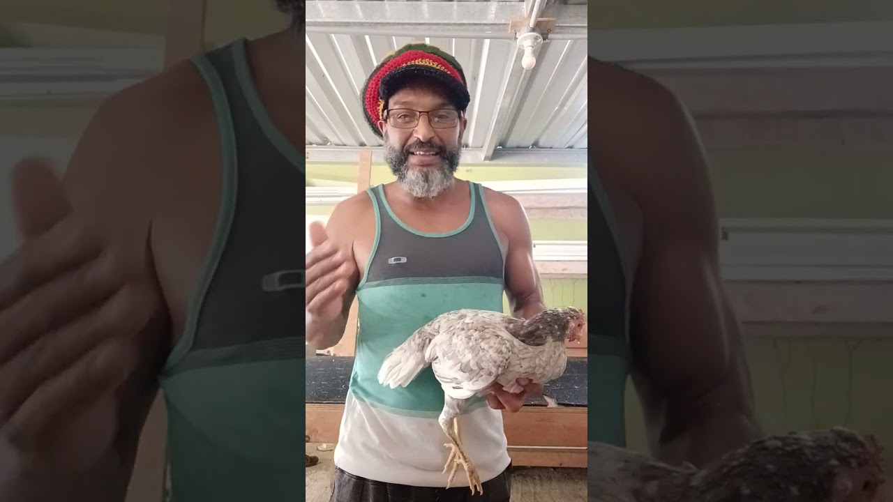 que es un proyecto genético?