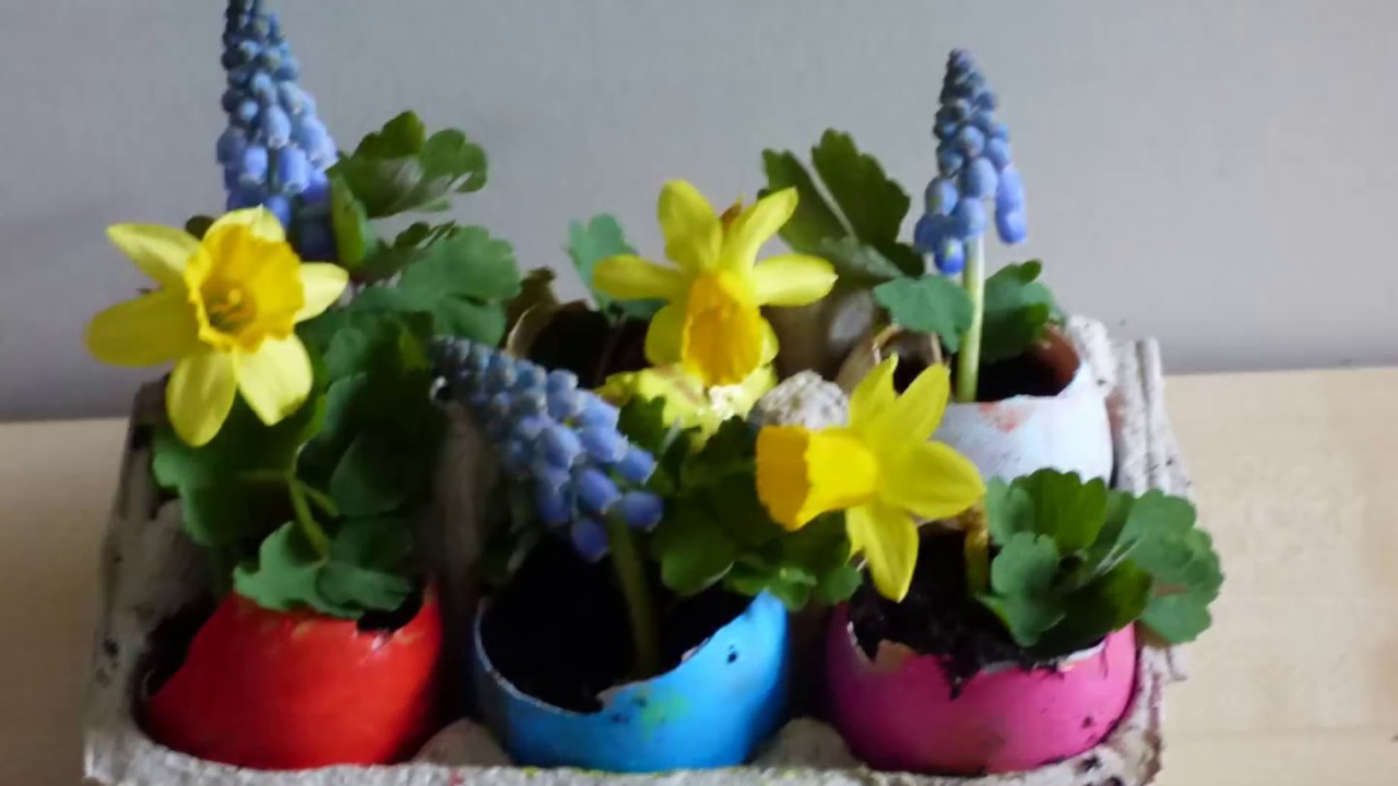How to make eggshell flower pot.DIY  recycling creative idea for easter/spring.