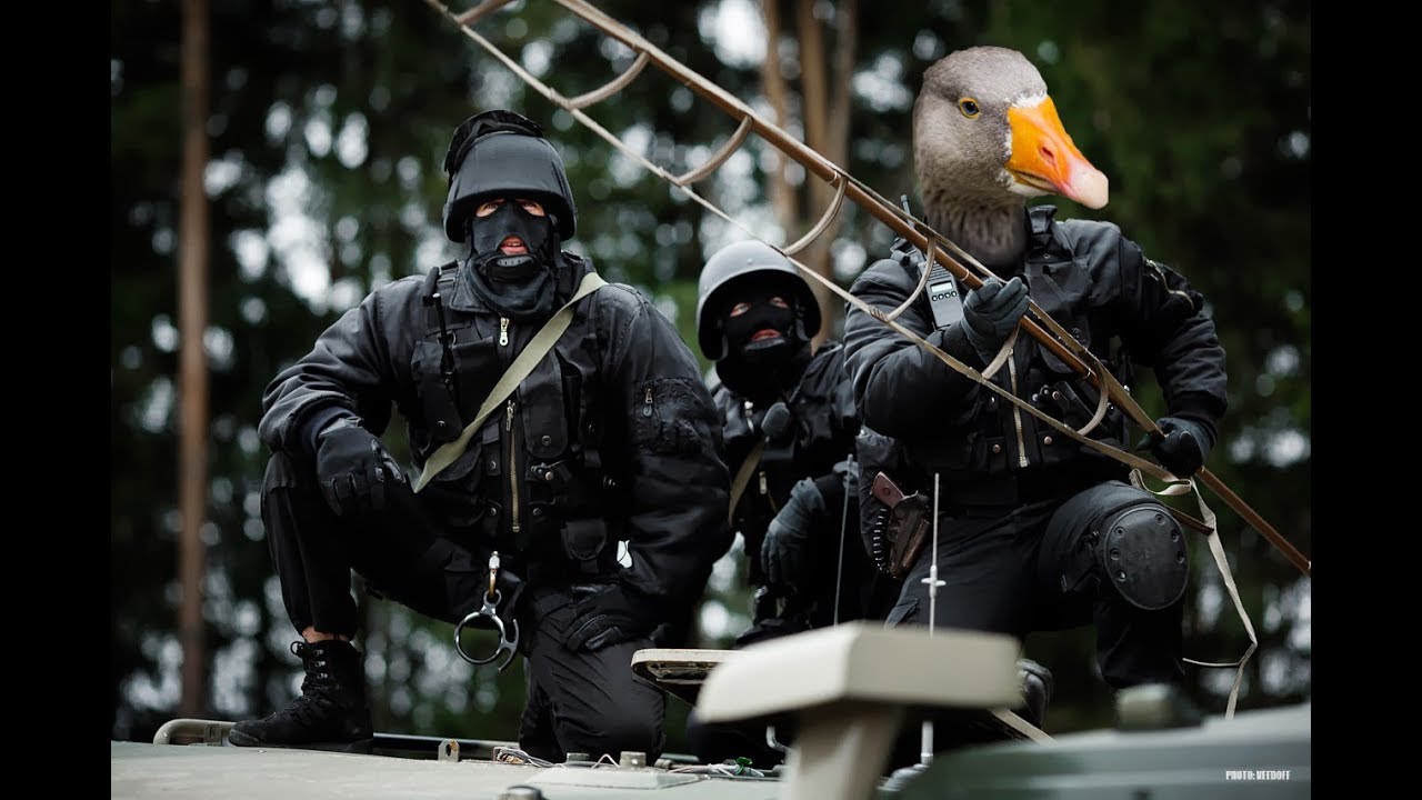 Гусь с автоматом смешные картинки