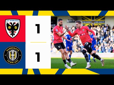 AFC Wimbledon Harrogate Goals And Highlights