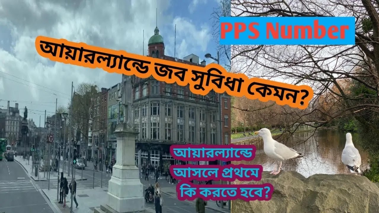 আয়ারল্যান্ডে জবের সুবিধা কেমন?ইউরোপের অন্যান্য দেশ থেকে যারা আসছেন তারা কি জব পাচ্ছেন ?job facility