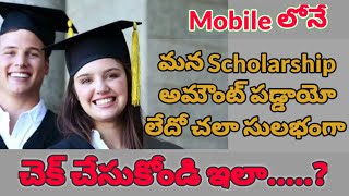 How to check Scholarship amount in Mobile//How to check treasury Telangana Status of Scholarship....