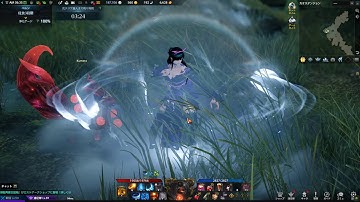 Lost Ark JP - Chaos Dungeon ilvl 400 - Battle Master