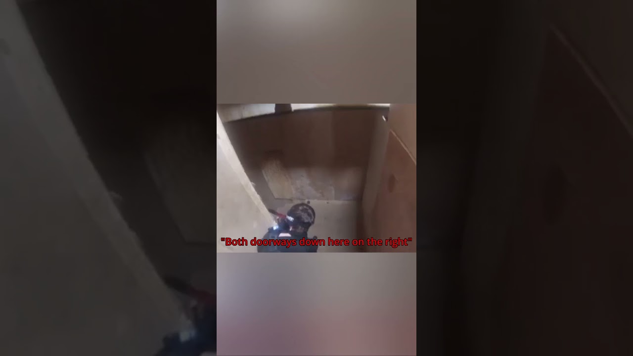 "Hey, where they at?" 🐱‍👤