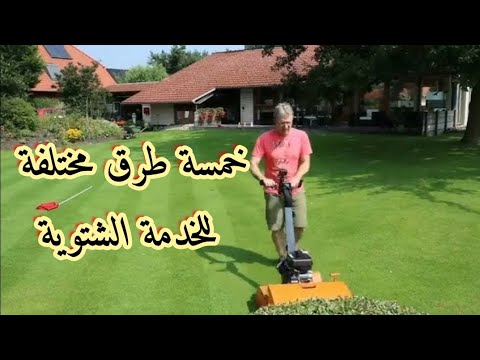 كل ما تريد معرفته عن الخدمة الشتوية للنجيل في فيديو واحد