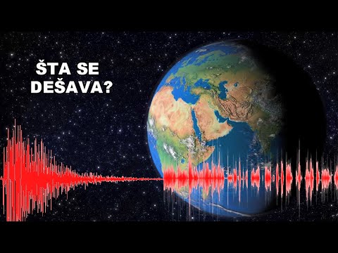 Video: Da Li Su Psi Zaista Daltonisti?