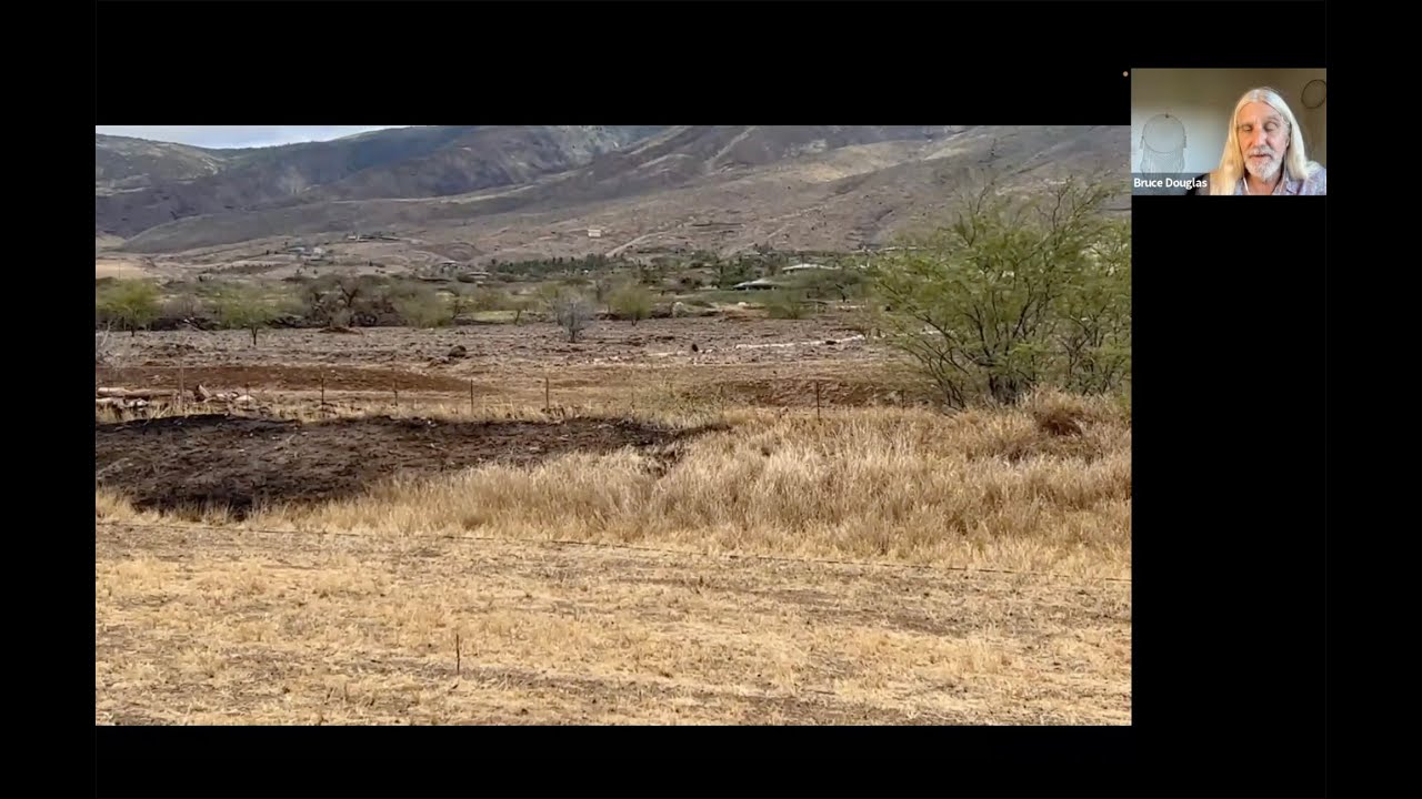 Possible Brush Arson Points in Lahaina Fire & Kula Fire v2 - YouTube