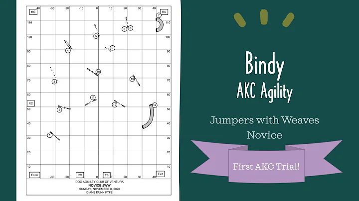 Bindy - AKC Agility - Jumpers with Weaves, Novice - 2020.11.08