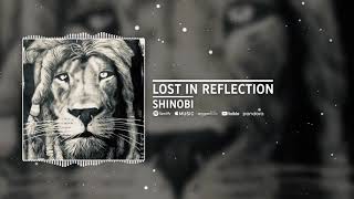 Lost In Reflection