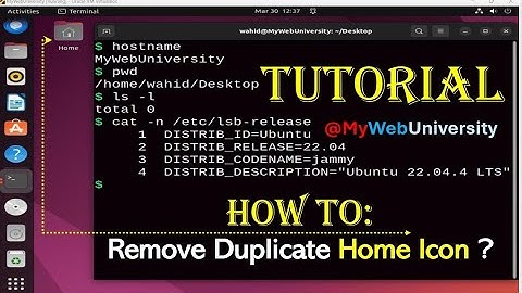 Tutorial (How To Remove Duplicate HOME Icon From Desktop)
