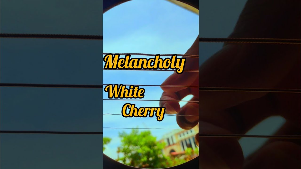 Melancholy White Cherry (fingerstyle guitar oscillation) YouTube