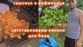 35. Творожные вафли (сырники) | Заготовка веников для бани