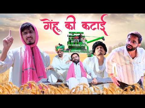 गेहूँ की कटाई😄| Sk keer official