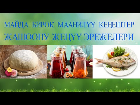 Video: Эмне үчүн күндүн нуру өсүмдүктөр үчүн маанилүү?