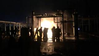 Teex Night Burn- Wade