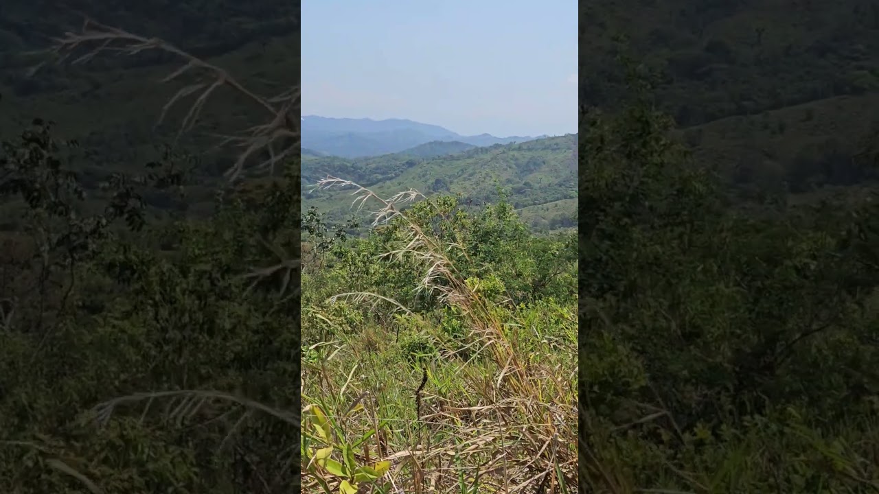 Cerro Viruli - Las Palmas Veraguas