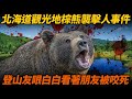 北海道人氣觀光地 知床半島 發生棕熊襲擊人事件！登山友眼白白看著友人被咬死拖走...防熊裝備到底有沒有用...