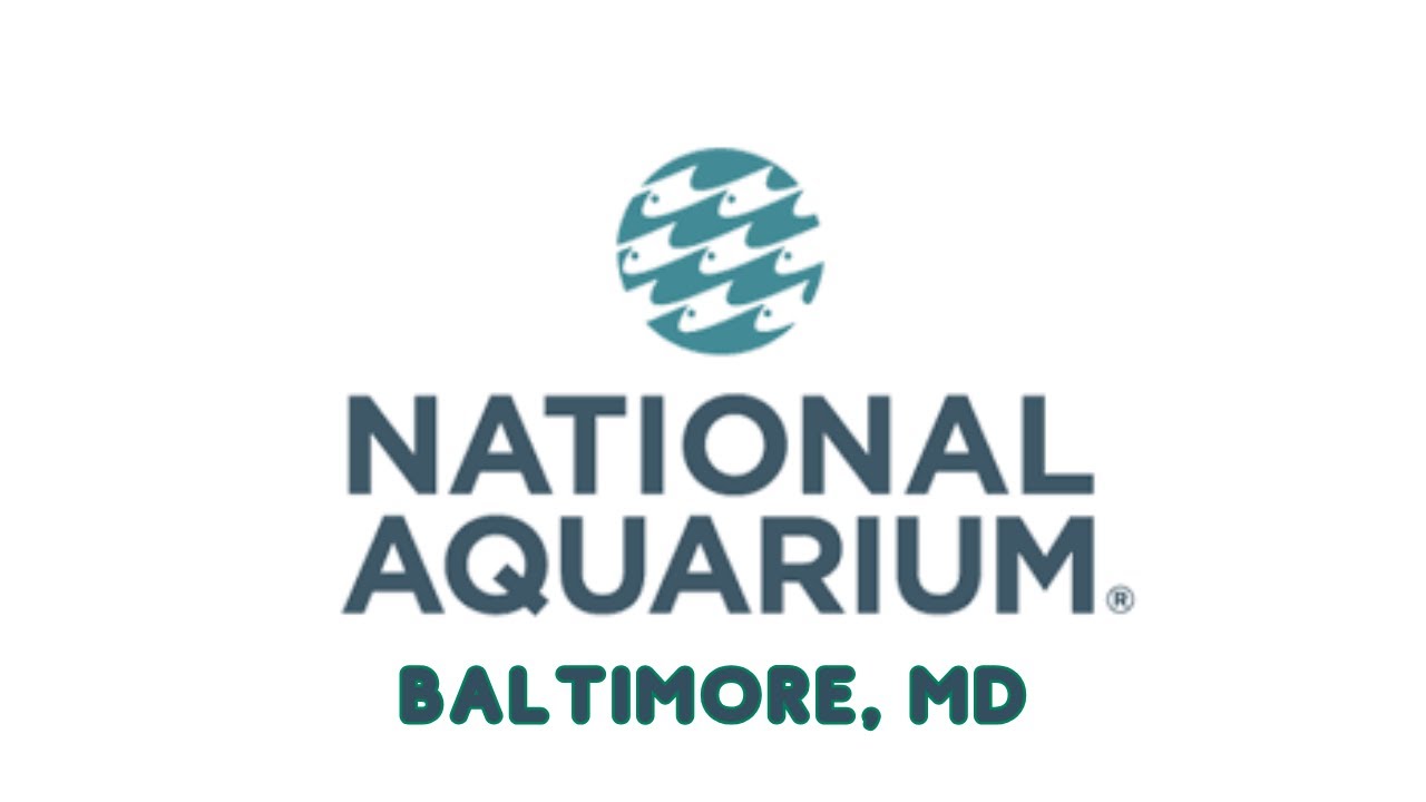 National Aquarium Full Tour 2022