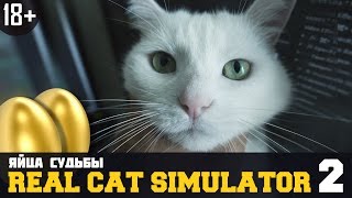 Симулятор кота 2: Яйца Судьбы Симулятор кота 2: Яйца Судьбы