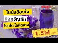 อัญชัน สรรพคุณ #อัญชัน #อภัยภูเบศร #โรคไต #โลหิตจาง (2020)