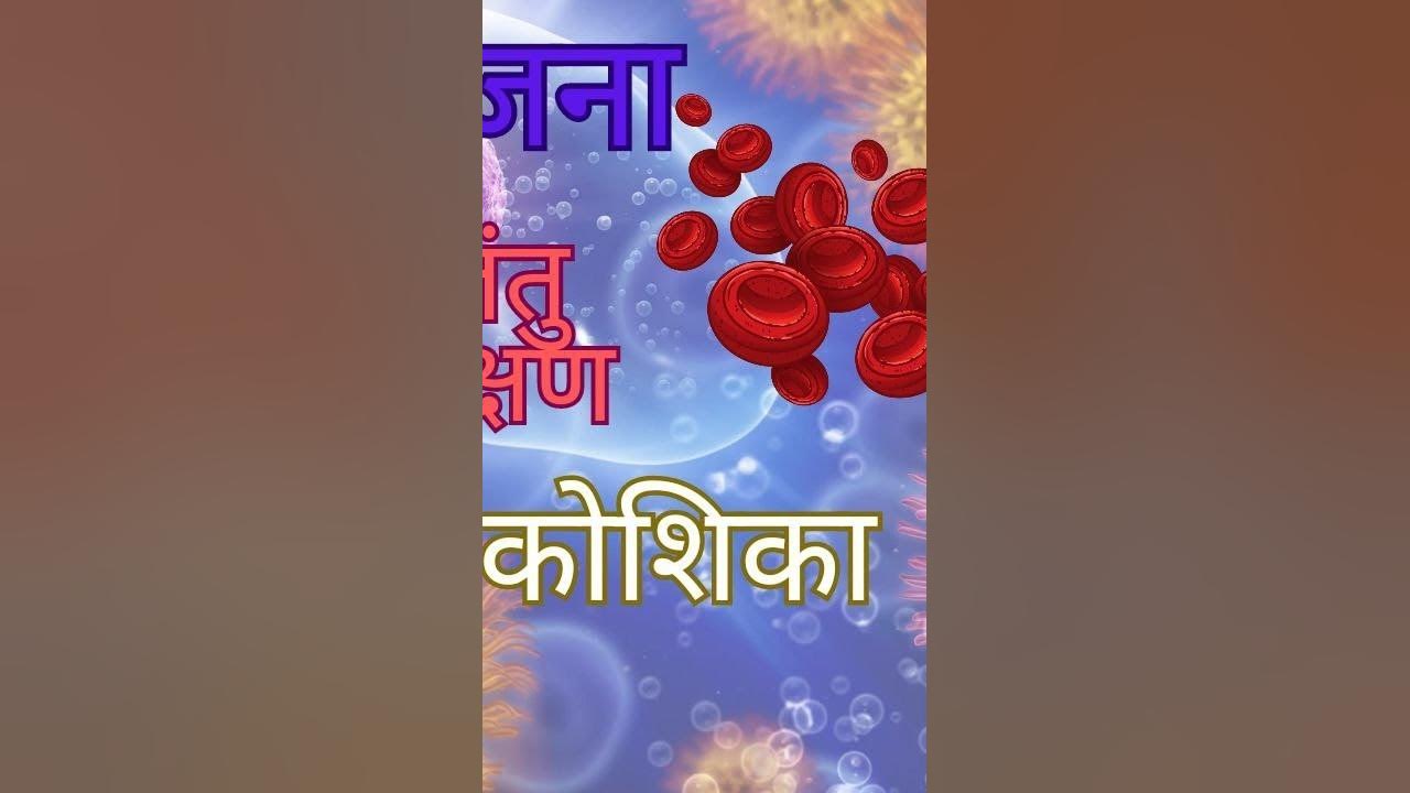 B Ed Lesson Plan For Biology In Hindi Jantu Jiv Vigyan Ka Path Yojna b-ed-lesson-plan-for-biology-in-hindi-jantu-jiv-vigyan-ka-path-yojna