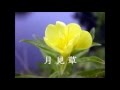 月見草(文部省唱歌)