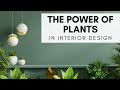 The Power of Plants in Interior Design