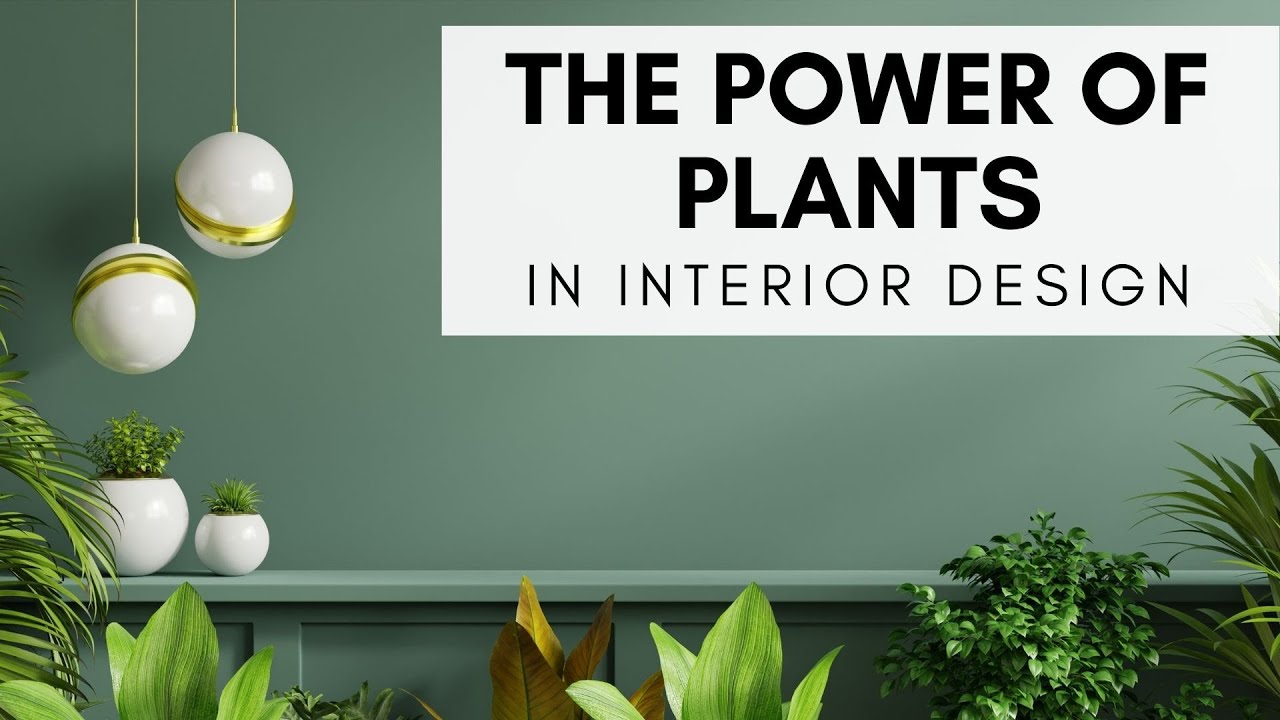 The Power of Plants in Interior Design - YouTube
