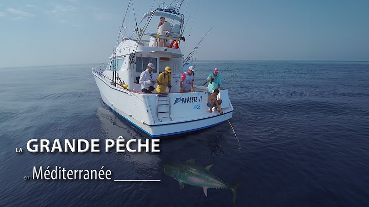 LA GRANDE PÊCHE EN MÉDITERRANÉE
