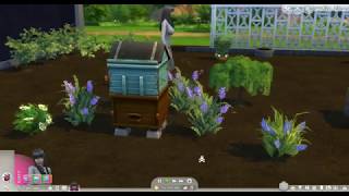 Lavender Harvestable with Effects | BrazenLotus Sims 4 CC Mod