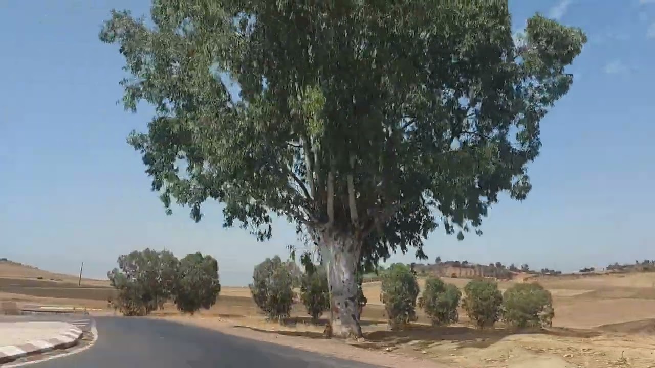 استمتعوا معي  بالمناظر الطبيعية الجميلة في الطريق نحو مدينة طنجة الرائعة