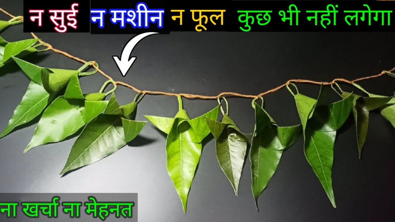 Mango Leaf Toran | Mango Leaf Decoration Idea | Mango leaf Toran From ...