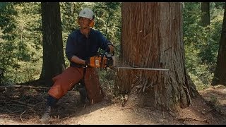 Wood Job! (2014) - Japanese Movie Review