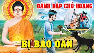 Nhân Quả Báo Ứng, Đánh Đập CHÓ HOANG Cả Nhà Bị Báo Oán | Xem Để Tránh