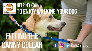 canny collar uk