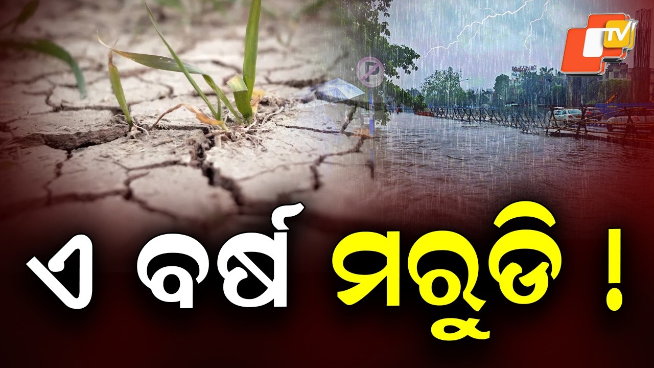 India May Receive Below-Normal Monsoon Rainfall This Year: IMD Forecast