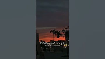 تلاوة 🥀من🥀 سورة🥀الأنبياء🥀🥀القارئ 🥀هاني الرفاعي🥀
