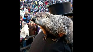 Groundhog Day 2023