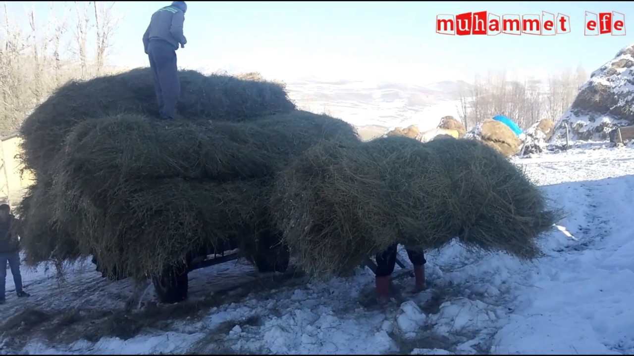 ERZURUM çat BARDAKÇI köyü 2