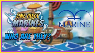 Marines Explained | One Piece Deep Dive